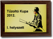 serleg, érem minta serleg, érem minták